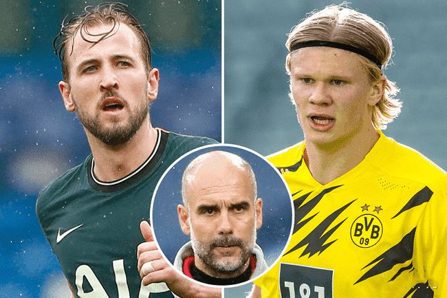 森林的表现 森林的表现