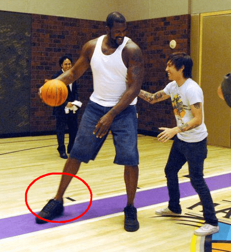 伤病管理 伤病管理